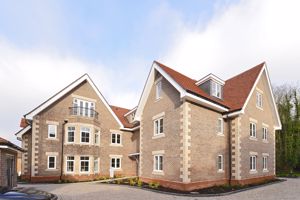 Photo 1- click for photo gallery